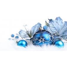 25.12.2015 Поздравляем с наступающим Новым годом и Рождеством!